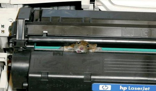 Мышь и принтер