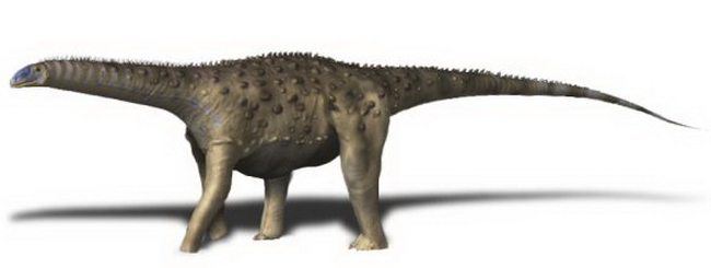 Панцирный сальтазавр (Saltasaurus loricatus)