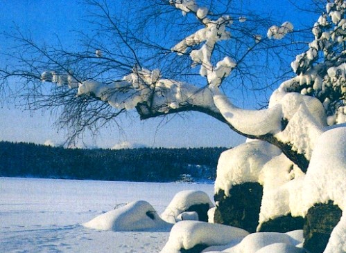 Рожайте меньше детей! Спасите природу! 