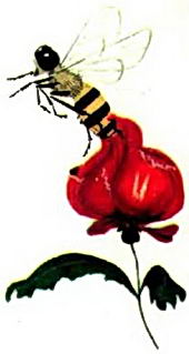 Пчела попалась в лапы к коварному цветку