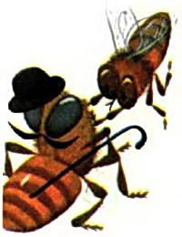Пчела выгоняет трутня