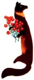 Куница держит в руках кустик с ягодами рябины