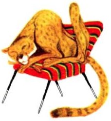 Гепард свернулся клубочком на стуле