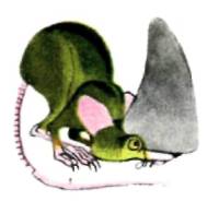 Мышка-норушка одела рог носорога на нос