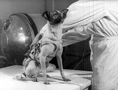В такой капсуле собаки находились во время полетов первых советских космических кораблей